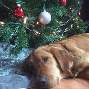 Meet your Posher, Sherry taylor